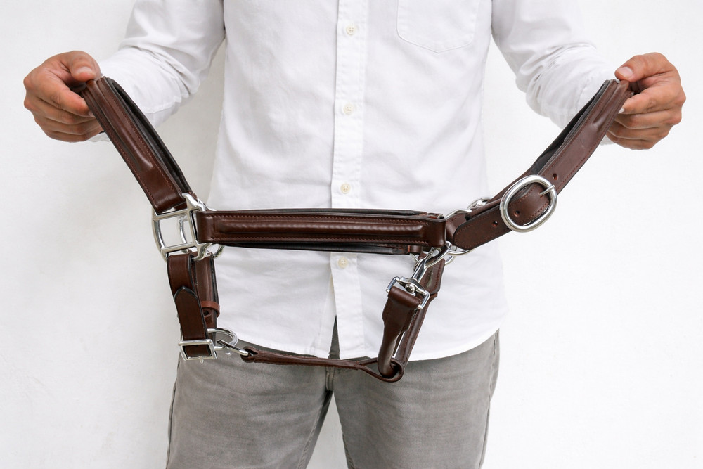 Handmade Horse Halter – Adjustable Leather Halter with Soft Padding- All Size
