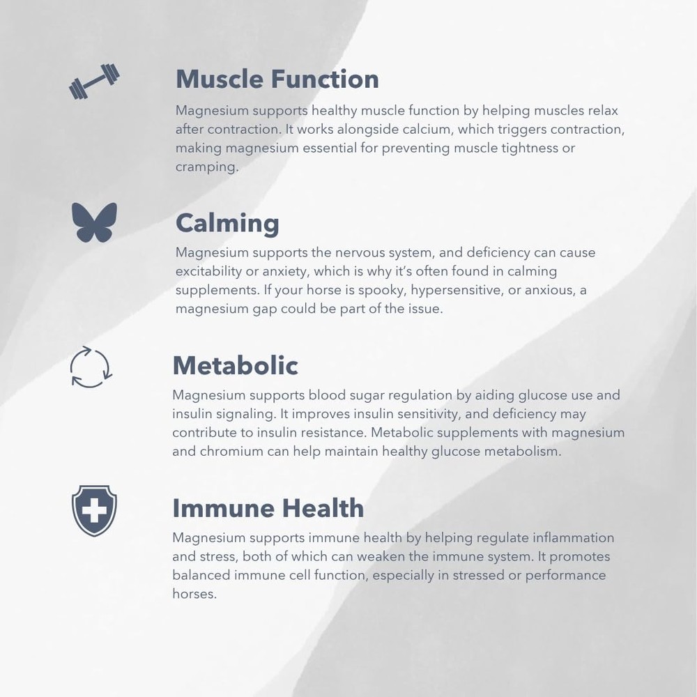Magnesium 5000 for Horses - Calm, Boost Metabolism, Support Muscle Function