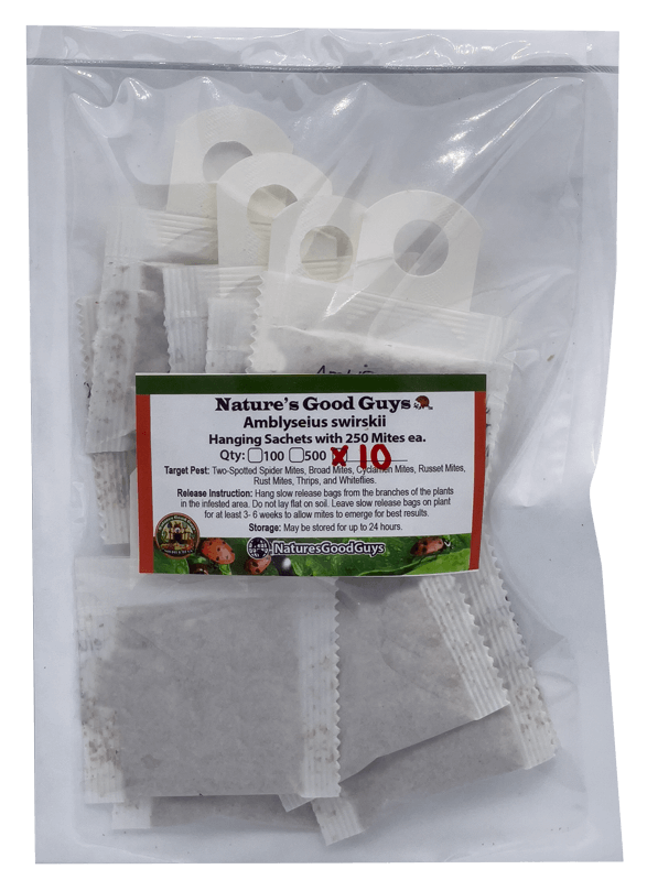 Slow Release Sachet - Amblyseius Swirskii - Predatory Spider Mite Control