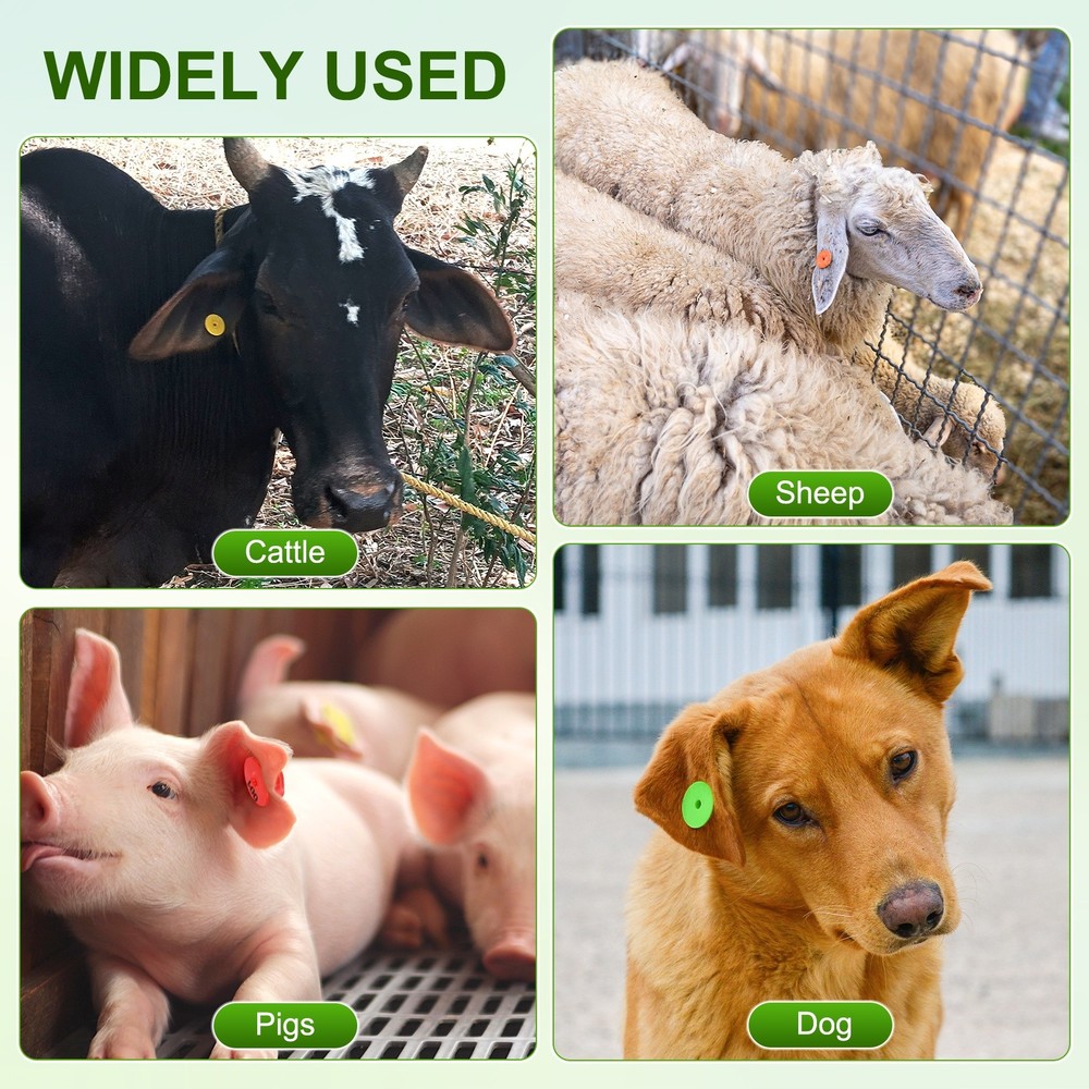 100-Pack Cattle Ear Tags, Plastic Round Blank Livestock Ear Tags [Red]