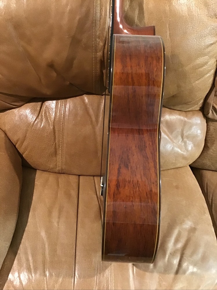 yamaha g 245 s