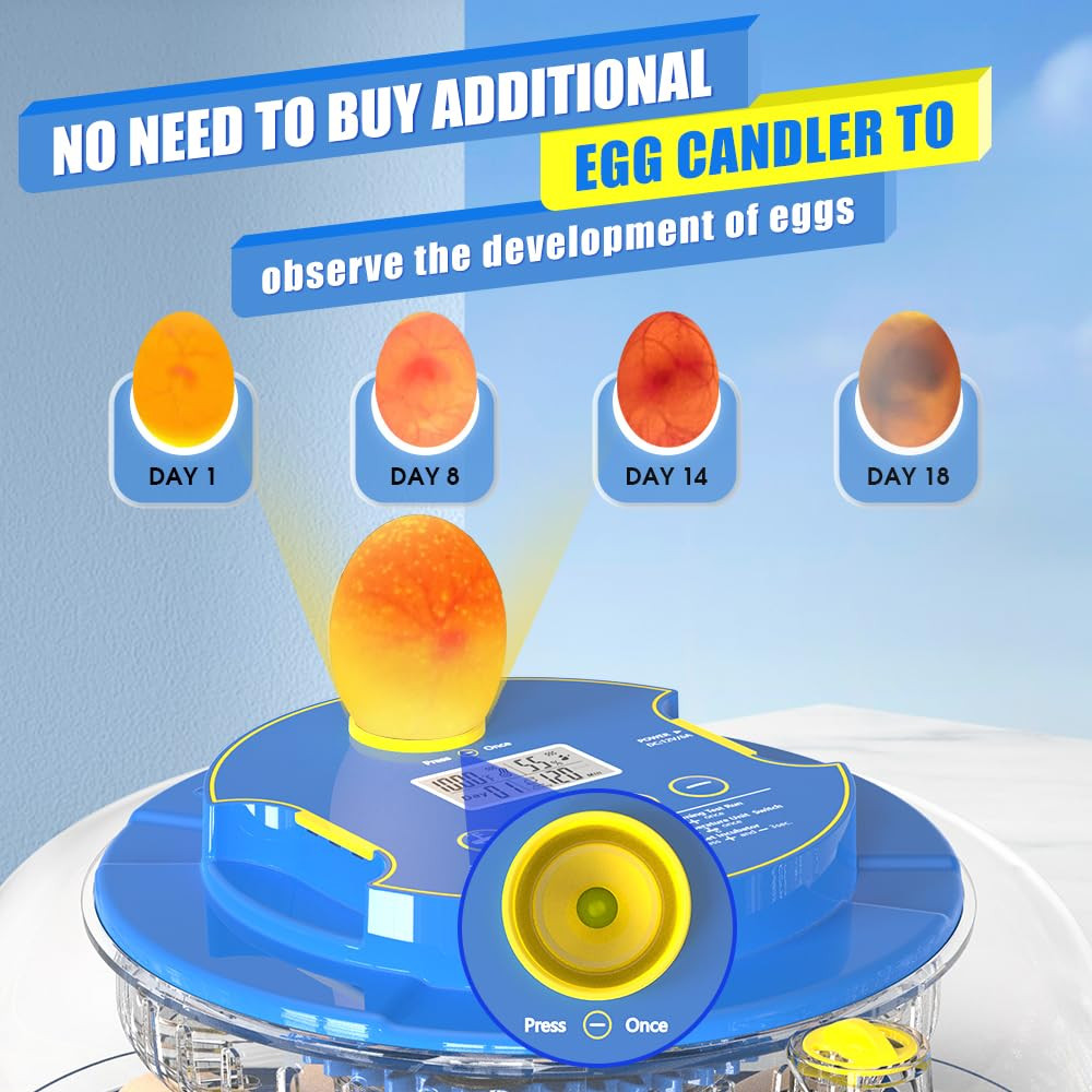 Incubators for Hatching Eggs，18 Egg Incubator,Egg Incubator with Automatic Egg T
