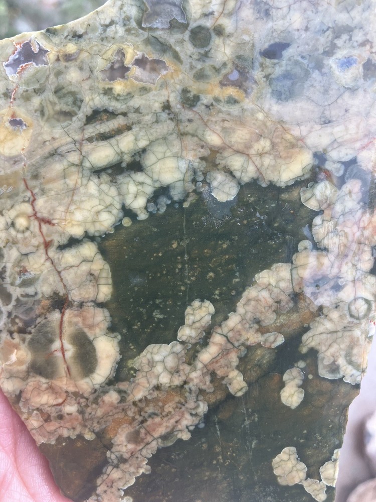Rainforest Jasper Slab
