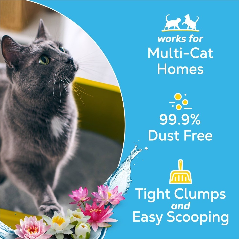 Clumping Multi-Cat Litter with Odor Control and Fresh Glade Scent
