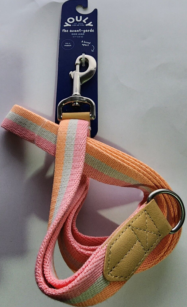 YOULY Creamsicle Dog Leash, 6 ft.