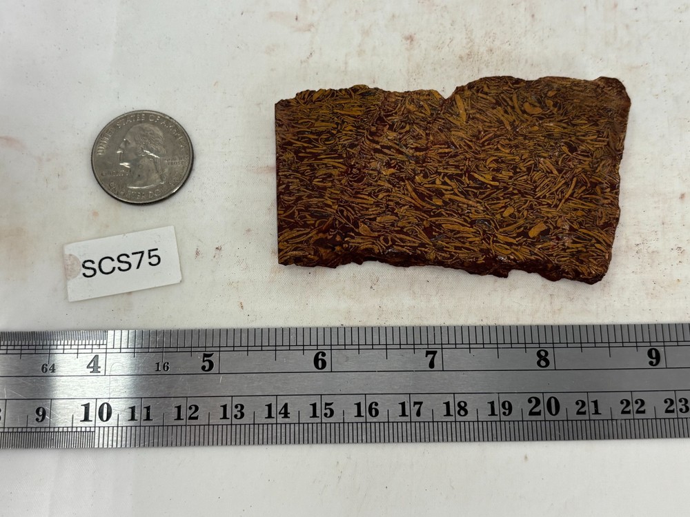 Script Stone Jasper Slab Cabbing Lapidary Collecting Combo Ship Avail
