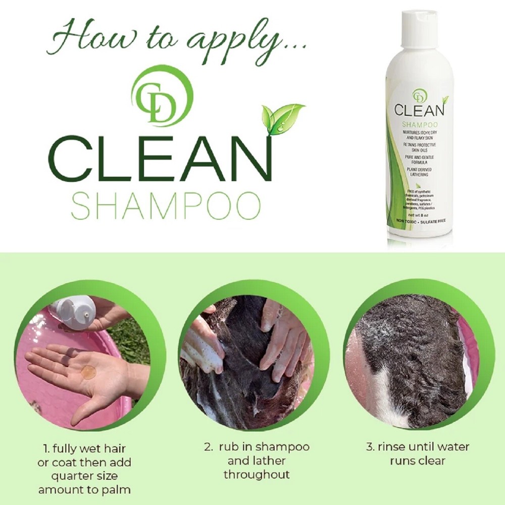 CD CLEAN Shampoo - 8oz