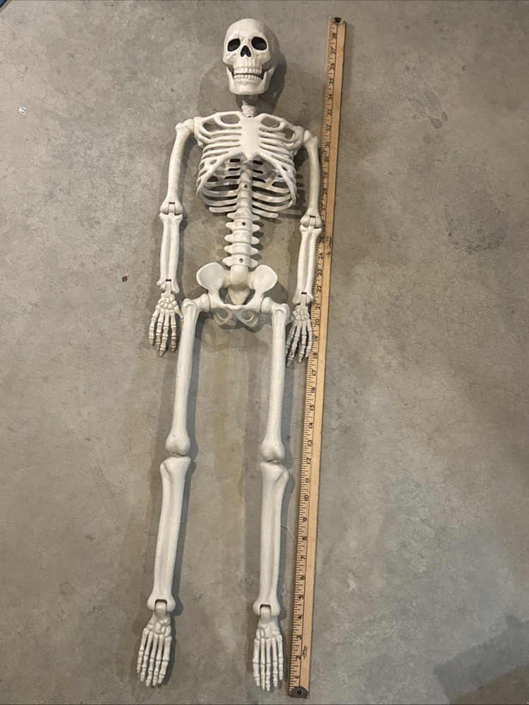 36" Poseable Bone Skeleton Halloween Decorative Prop Off-White -