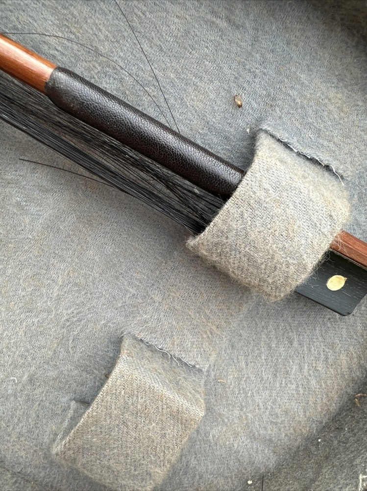 Violin Reghin Romania