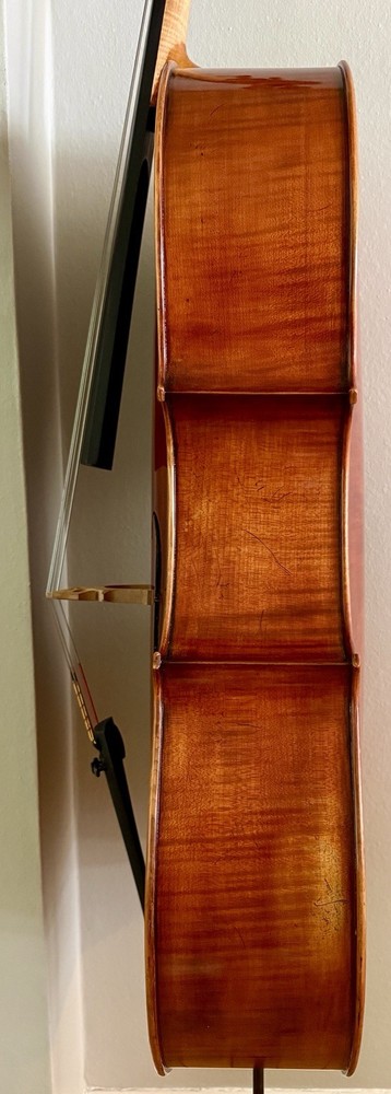 Eastman Pietro Lombardi Cello
