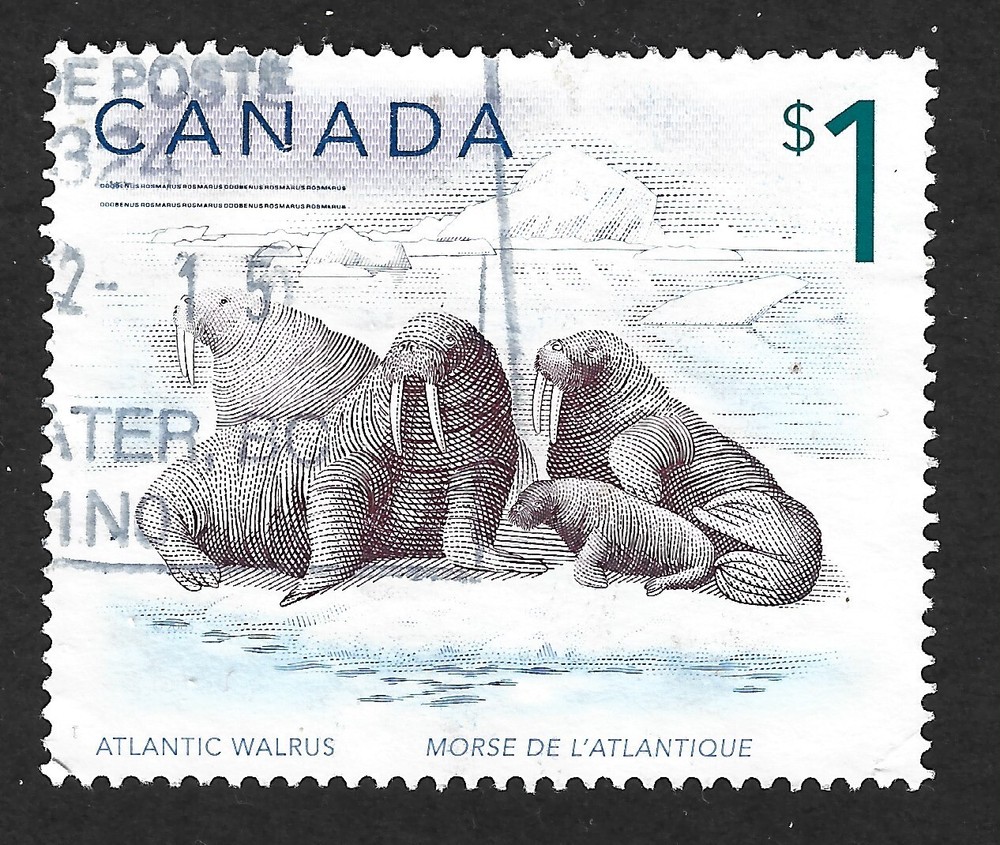 Canada 2005 #1688-89 High Values (Wildlife) - Used