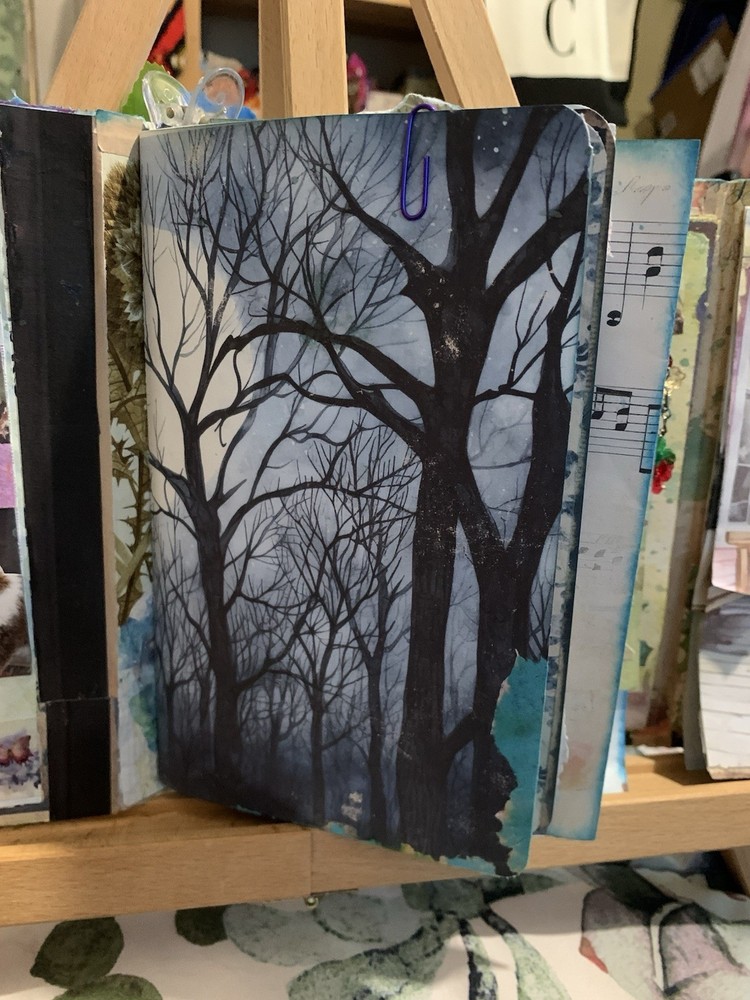 Hidden Castle Mystery Journal