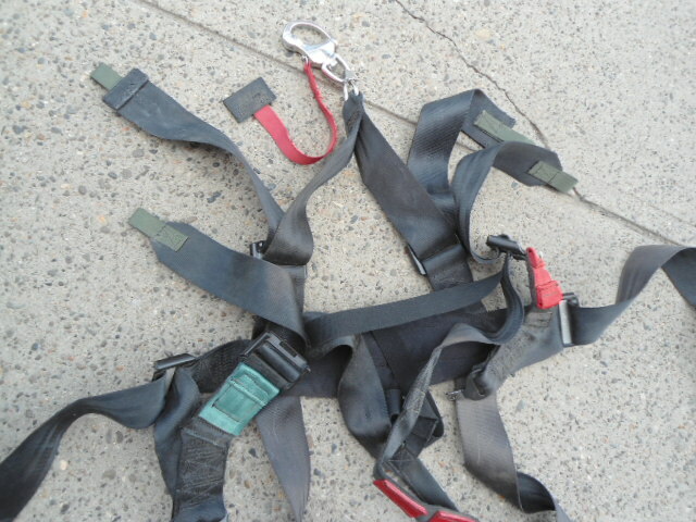 SCHROTH 5 Point Racing Harness (BLACK) USED