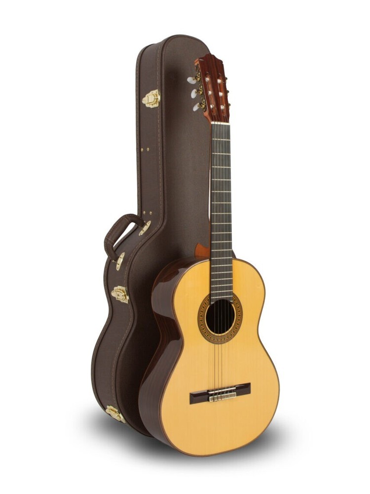 Small-Body/Classical Acoustic Guitar Hard-Shell Case (Brown)