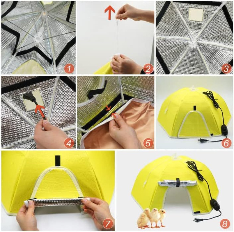 Large Chick Brooder Heating Plate Chick Brooder Box 21.6" Heat up to 50 Chicks,