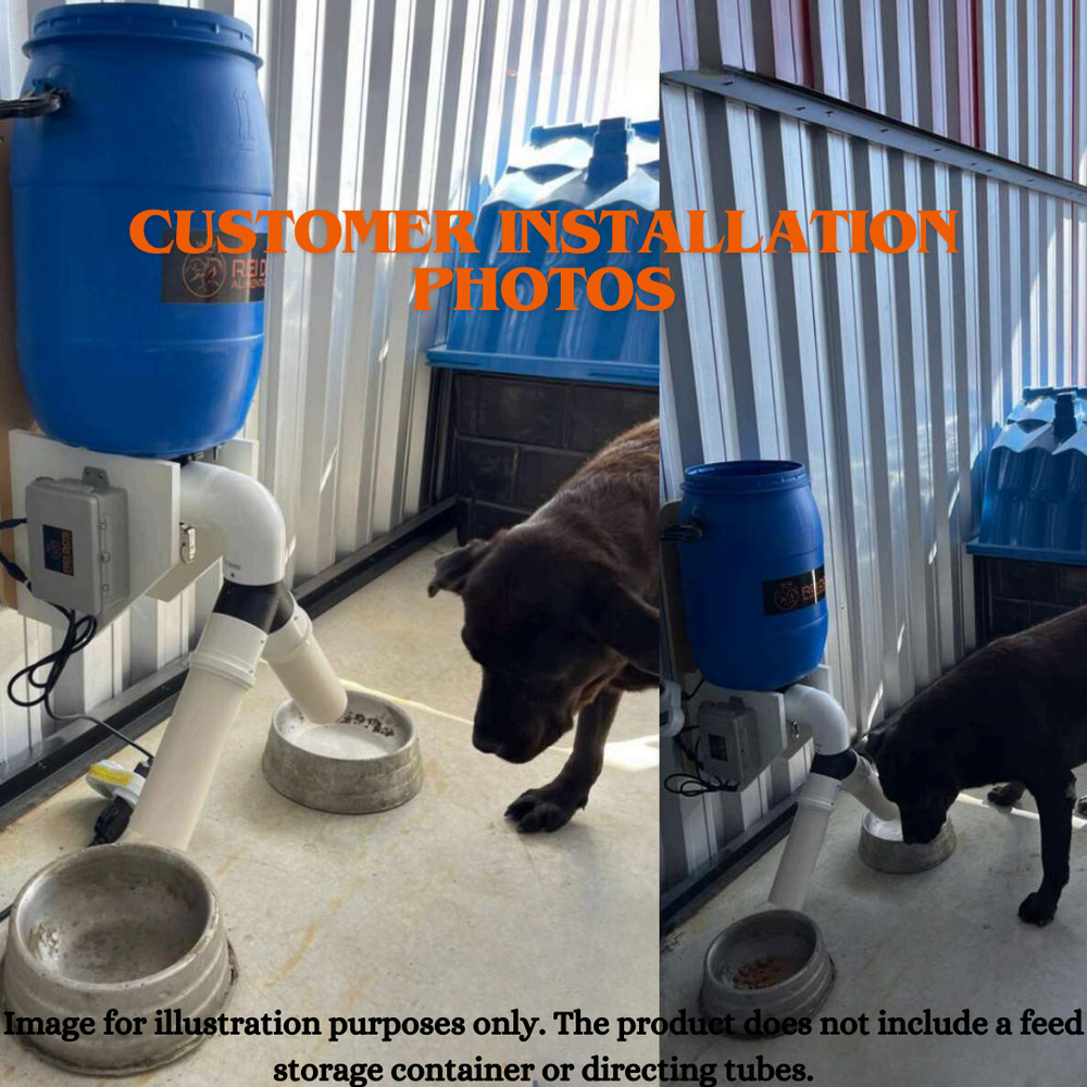 Automatic Feeder with Y- Splitter two animals