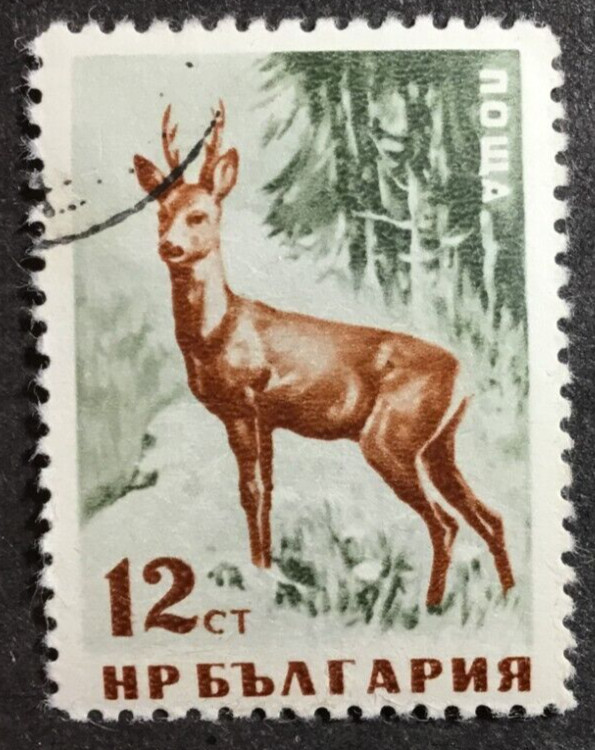 Bulgaria Postage Stamp