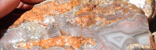Laguna Agate Cabbing rough