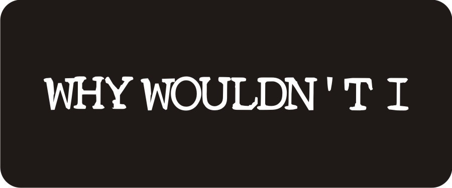 3 - Why Wouldn't I Hard Hat Biker Helmet Sticker Bs585