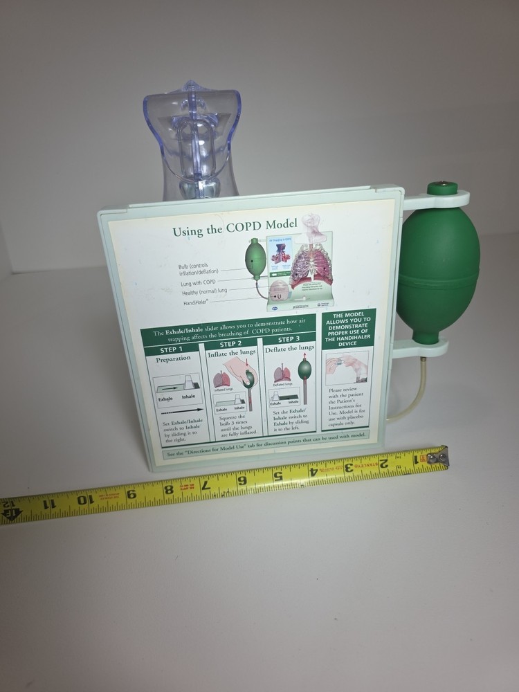 Vintage Pfizer Lung Display Model - Interactive Pump-expanding Lungs Works