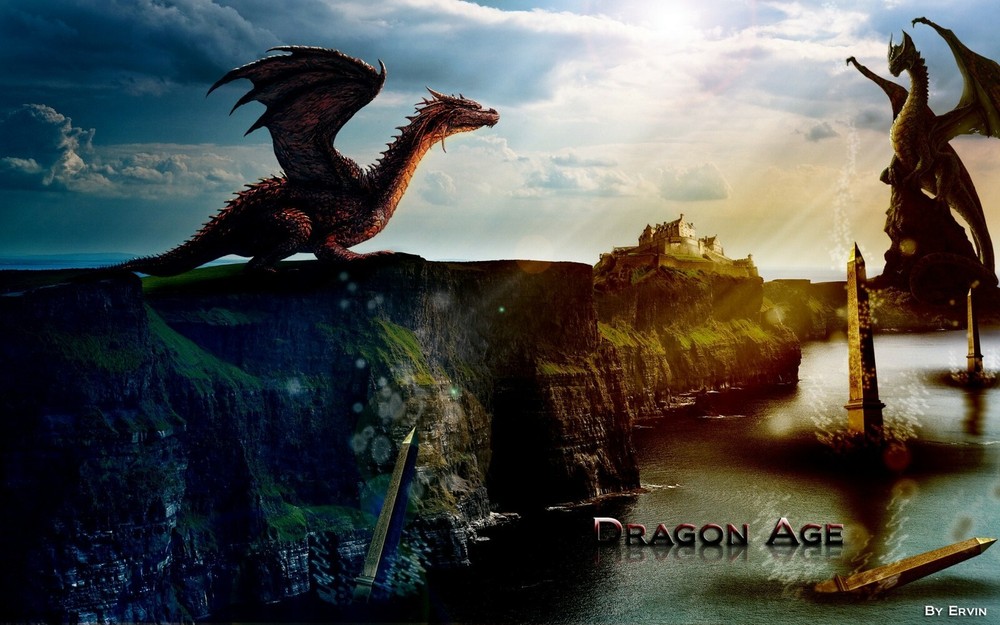 Dragon age Checkbook cover