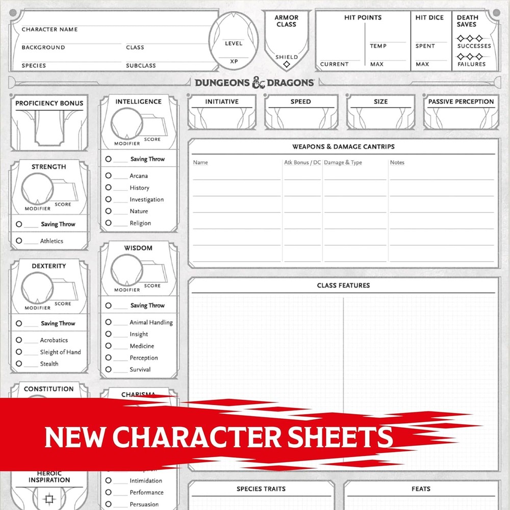 Dungeons & Dragons Character Sheets (2024)
