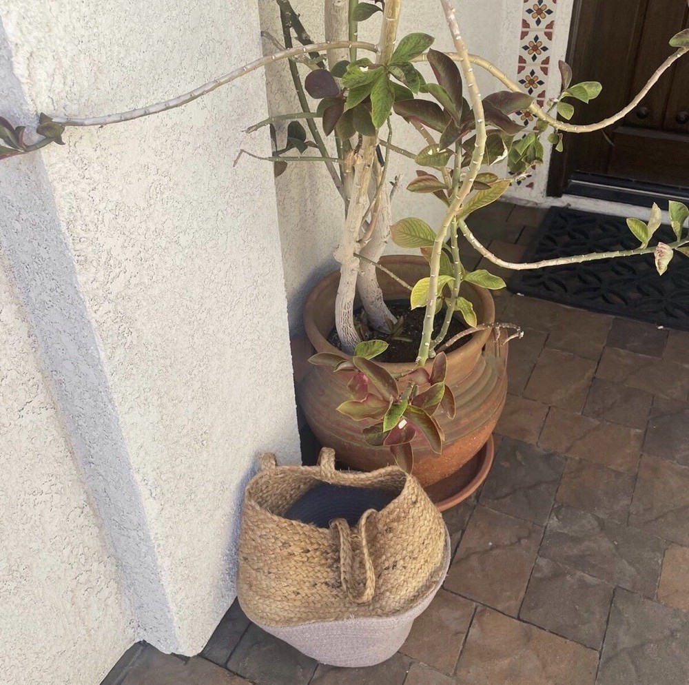Handcrafted Boho Jute Woven Basket Artisan Made