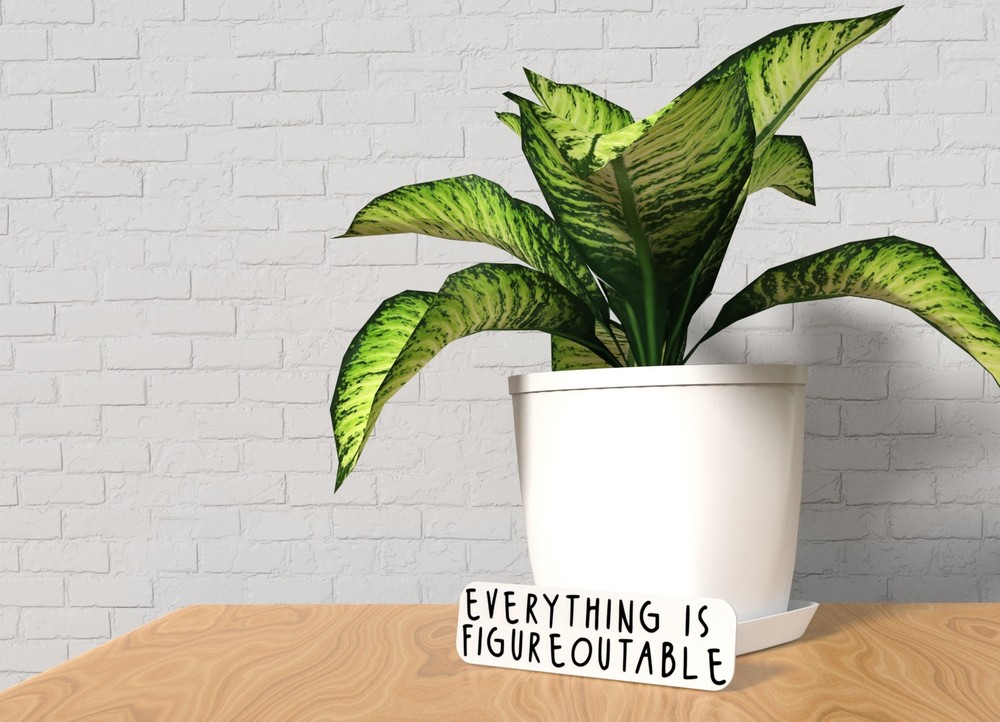 Everything Is Figureoutable | Funny sign For Home or Office