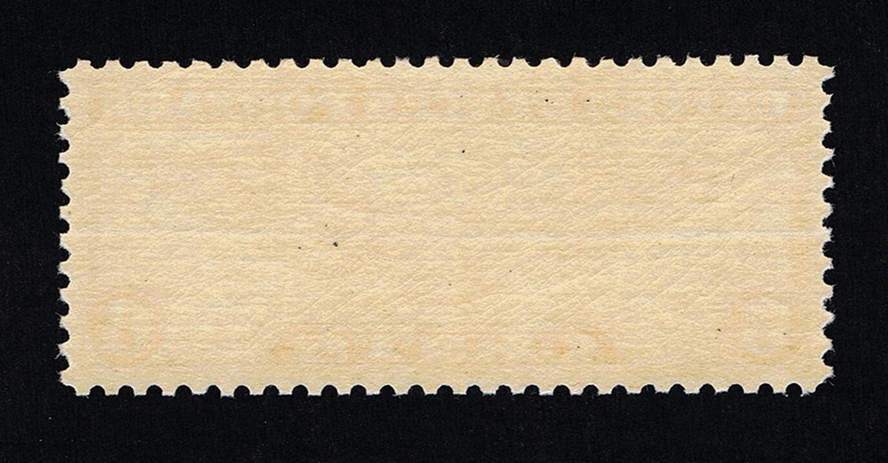 AFFORDABLE GENUINE SCOTT #C19 MINT OG NH VF 1934 DULL ORANGE PSE CERT