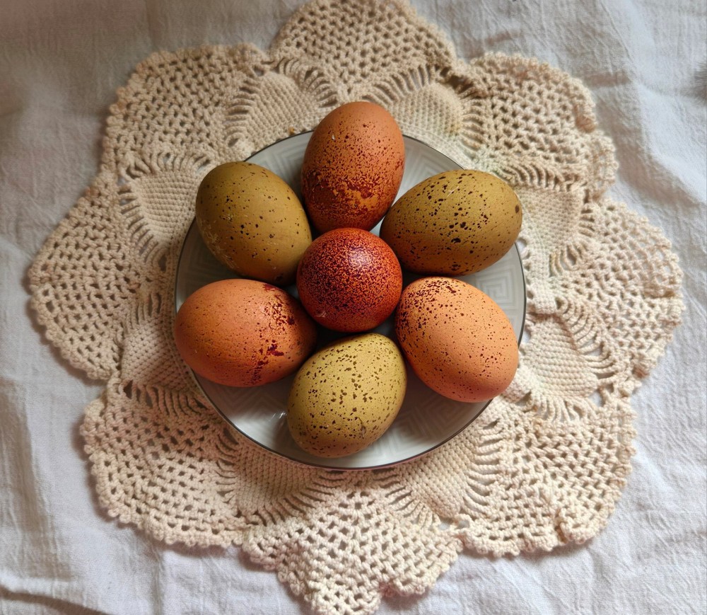 6 Speckled Eggers/ Galaxy Assortment hatching eggs