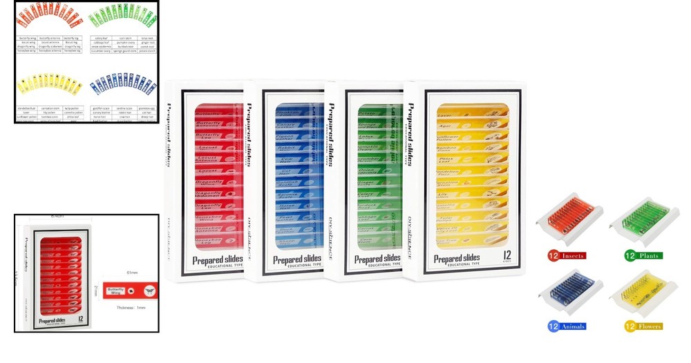 Clear Observation with 48 Biological Microscope Slides - Kid-Friendly Science