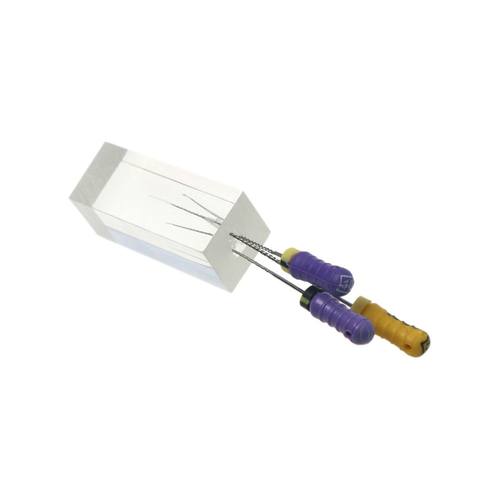 10pcs Dental Endodontic Practice Model 3 Root Canals Endo Training Block Clear