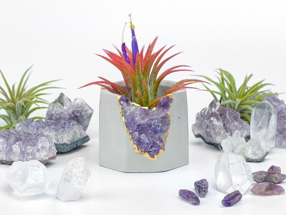 Gift Raw Amethyst Crystal Planter Geode Planter vase pot