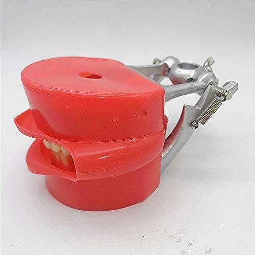 Dental Simulator Manikin Phantom Head Training Model Fix on Chair Unit Headrest