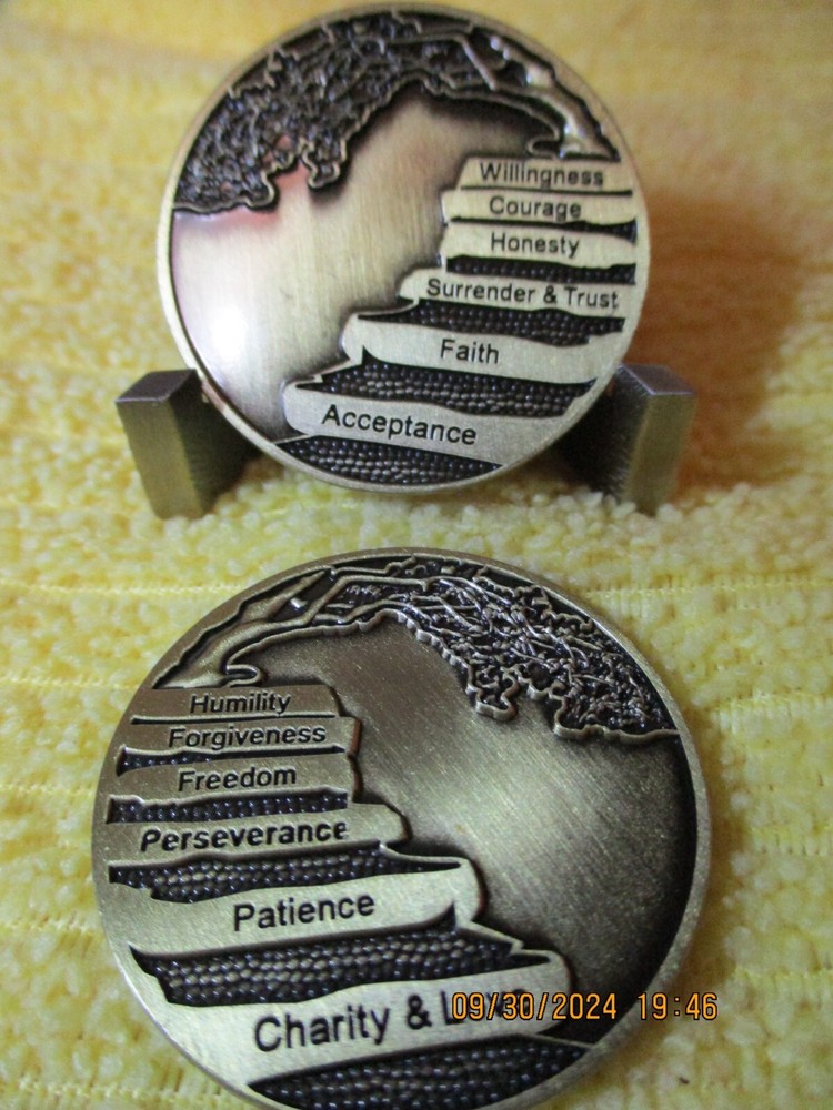 Coin Chip Brass Token Surrender Medallion Inspirational 12 Step Programs AA NA