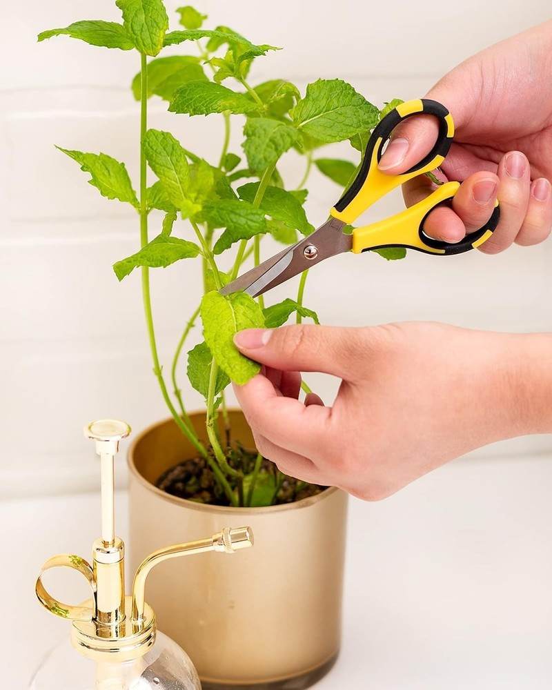 Ek Success Cutter Bee Scissors 5"-