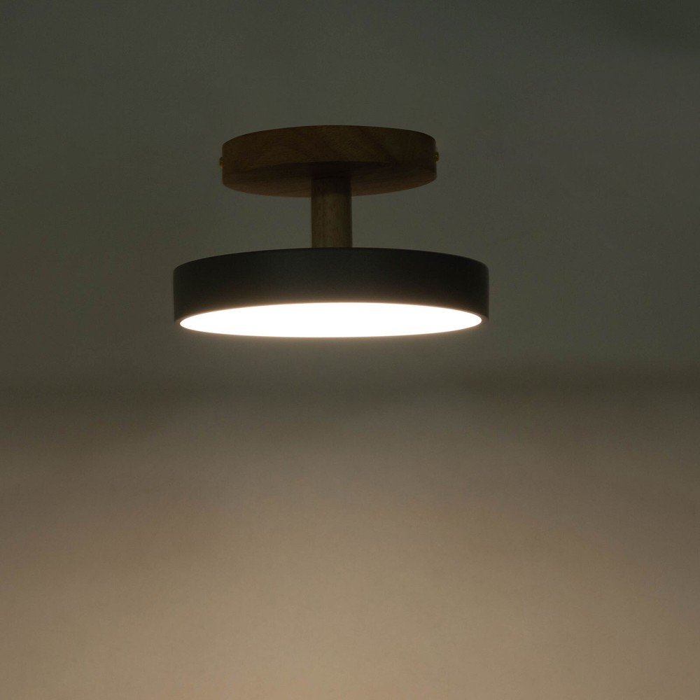 4.72 In Led Ceiling Light Adjustable Color & Brightness Ceiling Light Fixtures