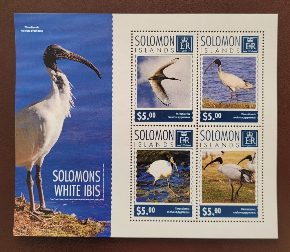 Solomon Island 2014 /   Birds - Solomon White Ibis  / 4v ms
