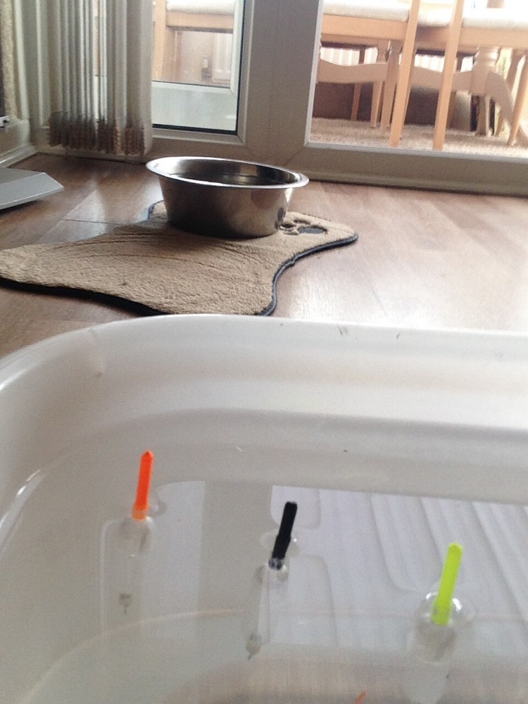 4 X Mini crystal wagglers/ Slow Sinking Bombs. With Interchangeable Float Tips