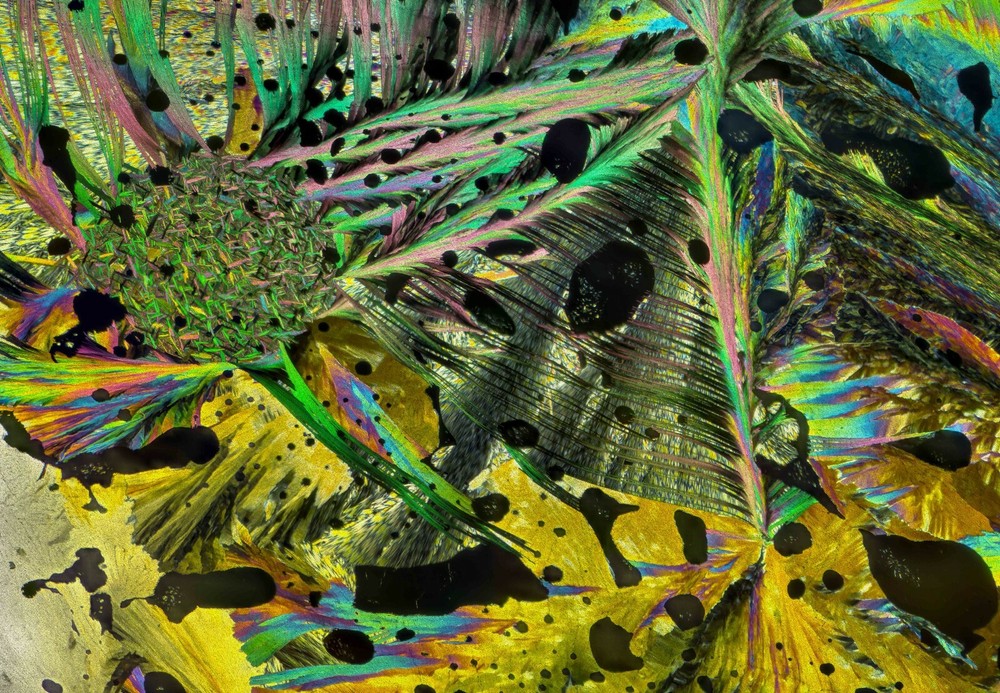 Microscope slide for polarized light, COUMARIN