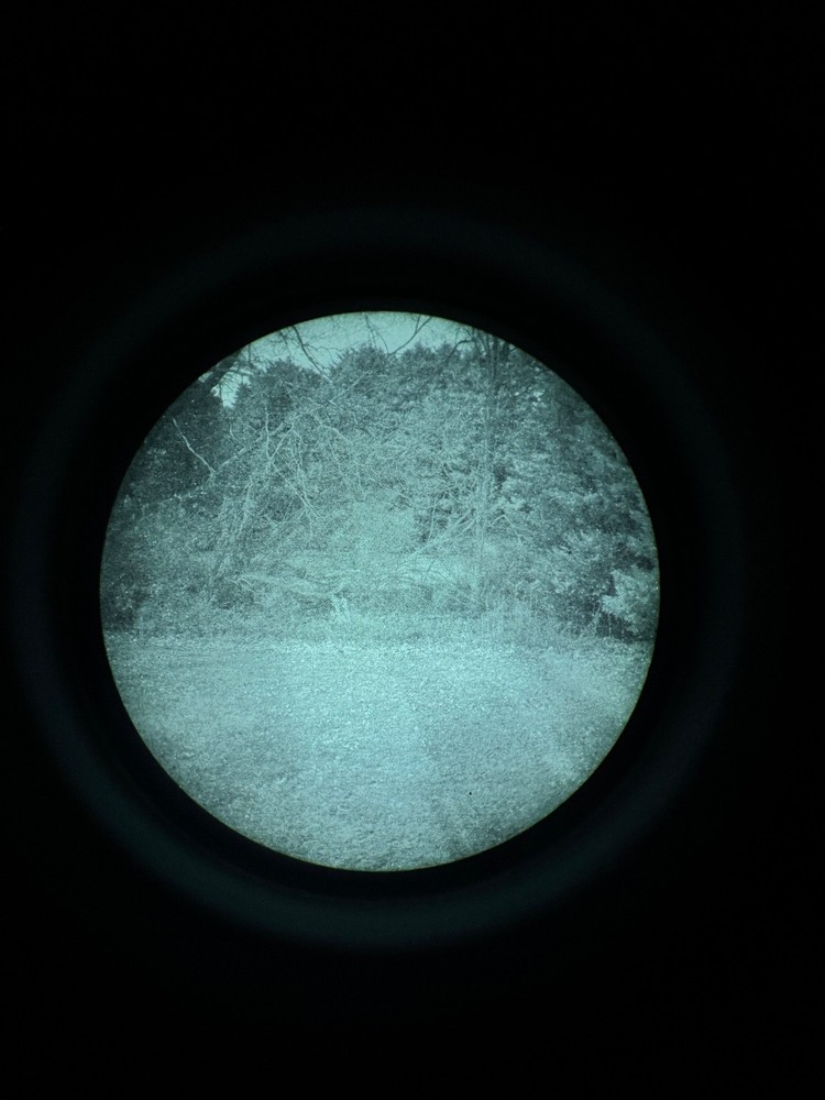 night vision