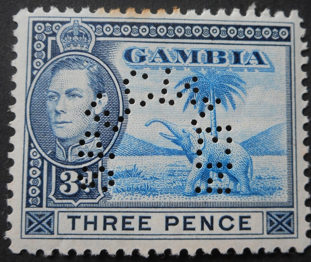 Gambia 1938 GVI Three Pence perf SPECIMEN SG 154s mint