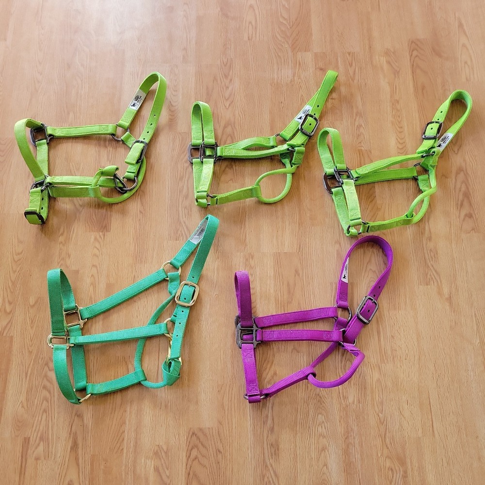 5 New Various Brand Halters