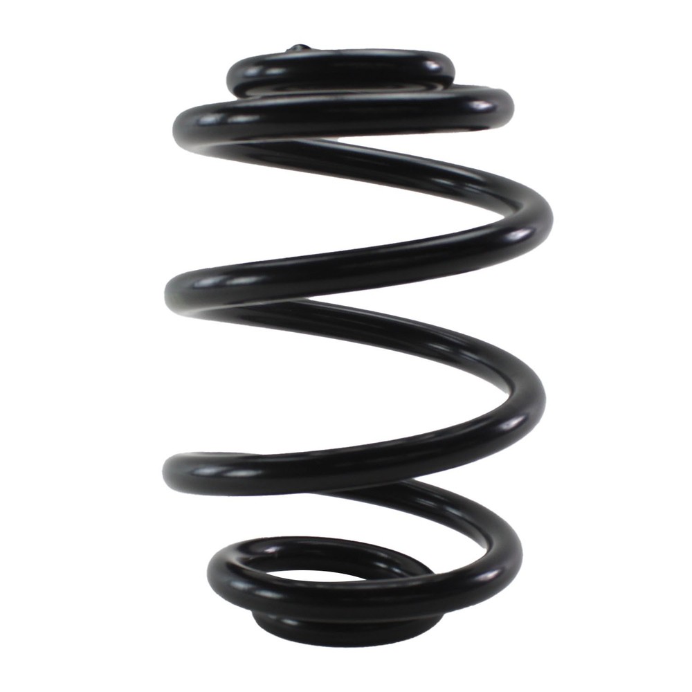 Lesjofors Coil Spring Rear (without Mtech) 4208452