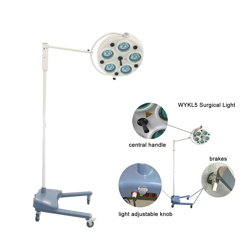 5-Reflector Cold Light Dental Surgical Shadowless Operating Lamp Standing Type