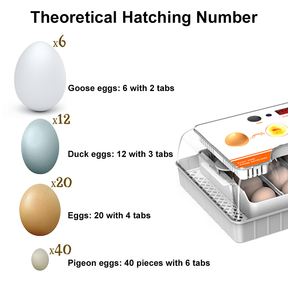 20 Egg Automatic Egg Incubator - Digital Turning Hatching Machine