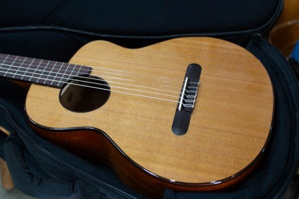 Anuenue Ann-Mn14 Annmn14 Mini Nylon Microphone Equipped With Classical Guitar Sm