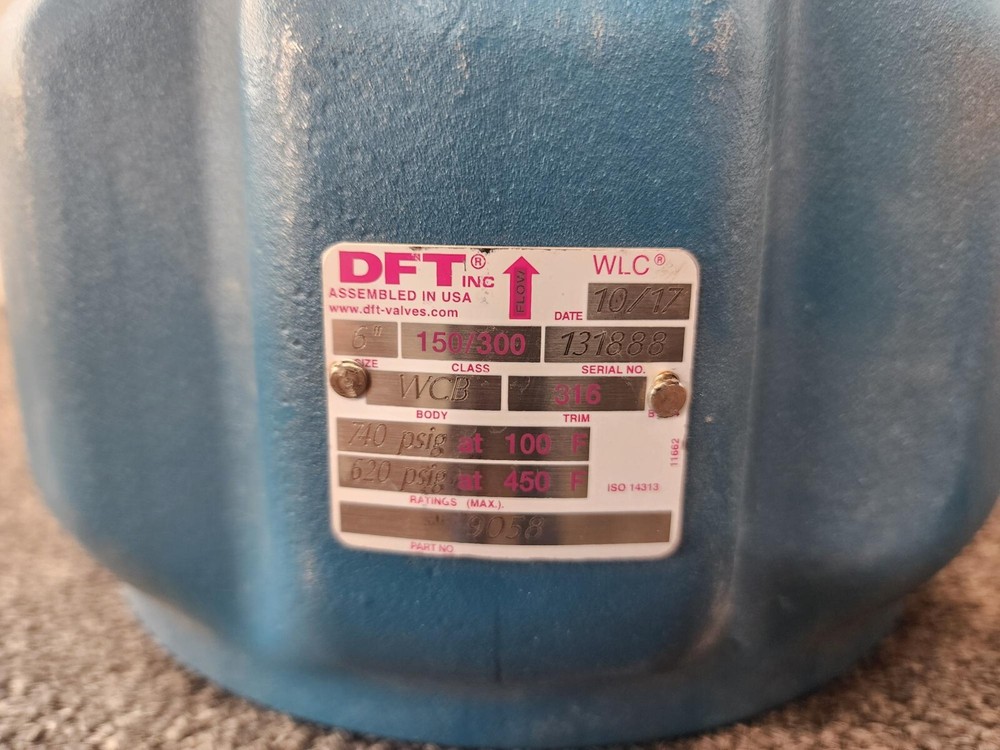 DFT 6" Class 150/300 RF WLC Wafer Check Valve
