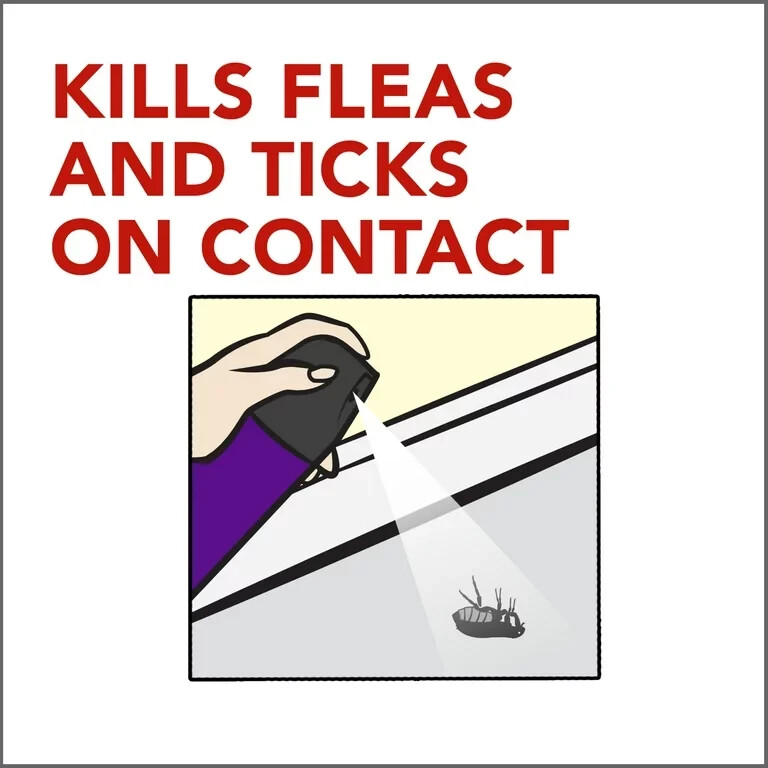 3 Cans Raid Flea Killer Plus Carpet & Room Spray Kills Fleas Bed Bugs Eggs 18oz