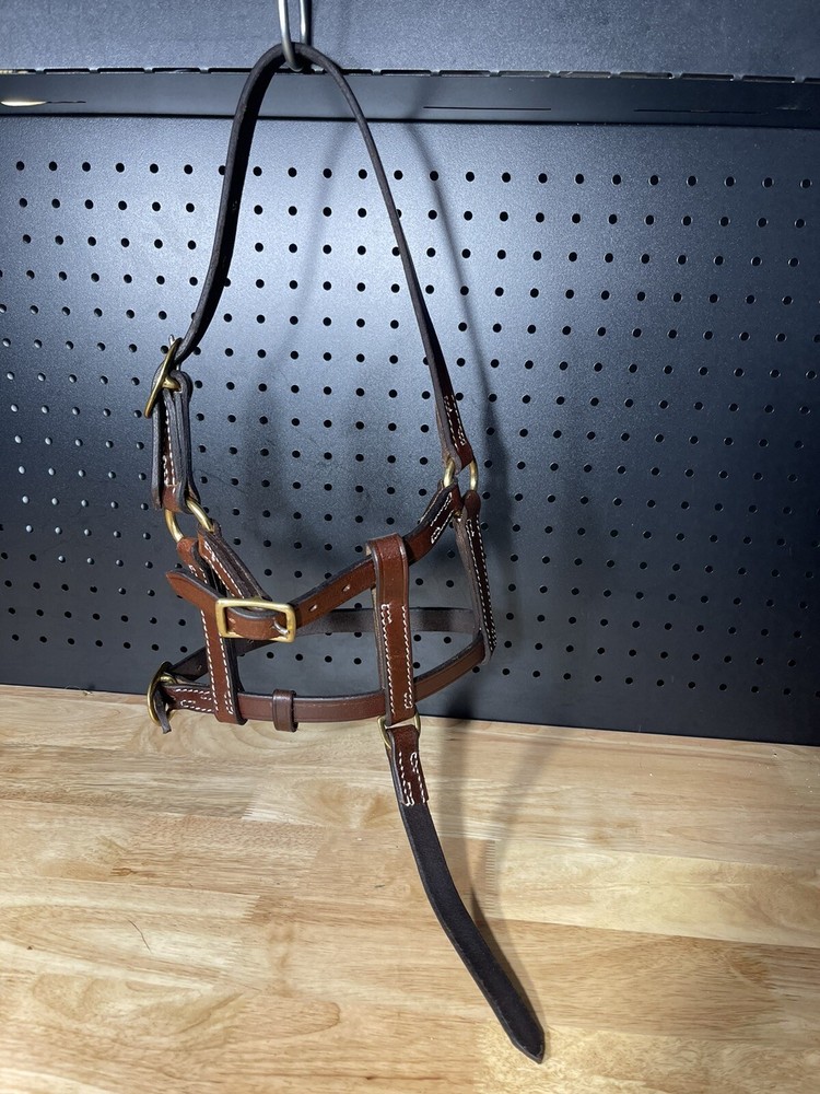 Leaders Foal Size Leather Halter!